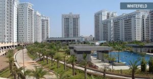 Where Dreams Thrive: Exploring 20 Best Residential Areas in Bangalore
