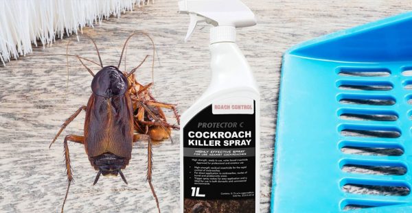 cockroach-control-spray