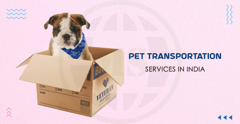 pet-transportation-services-in-india
