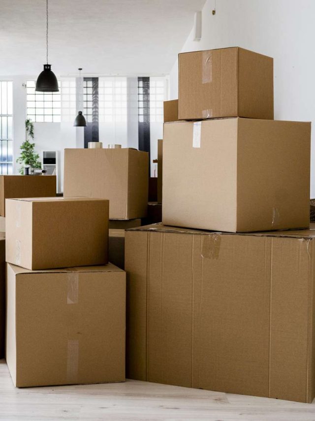 5 Important Tips for Organizing Moving Boxes