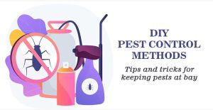 DIY Pest Control Methods: Tips and Tricks for Keeping Pests at Bay
